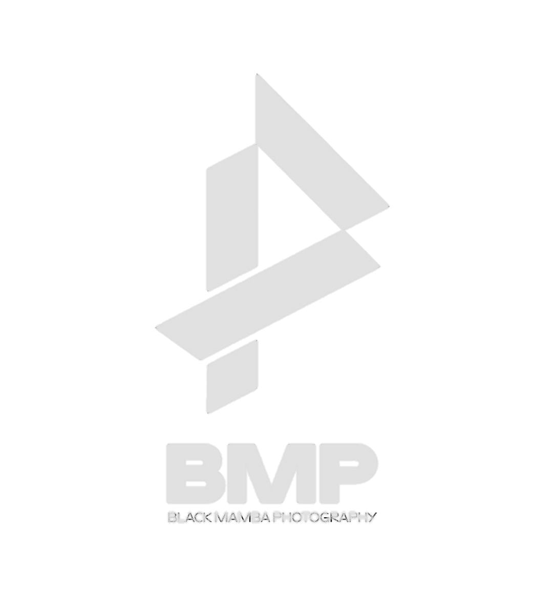 Black Mamba Photography